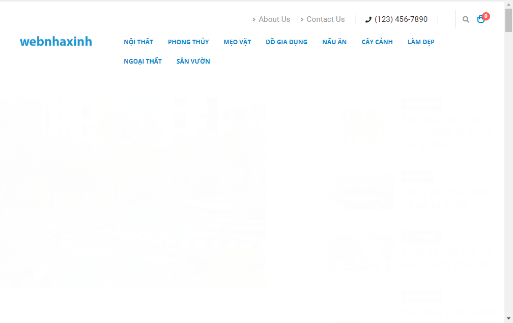 webnhaxinh.com